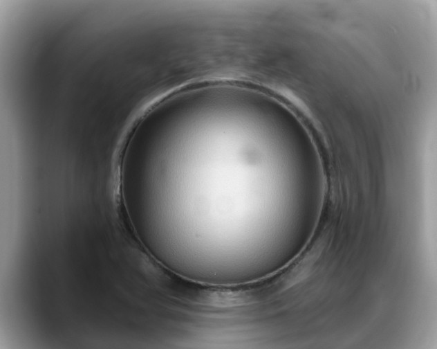 X0000088691366200706071511
