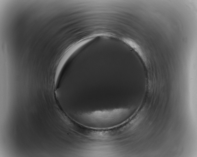X0000088691369200706071511