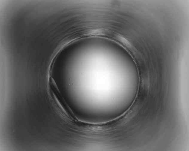 X0000088691370200706071511