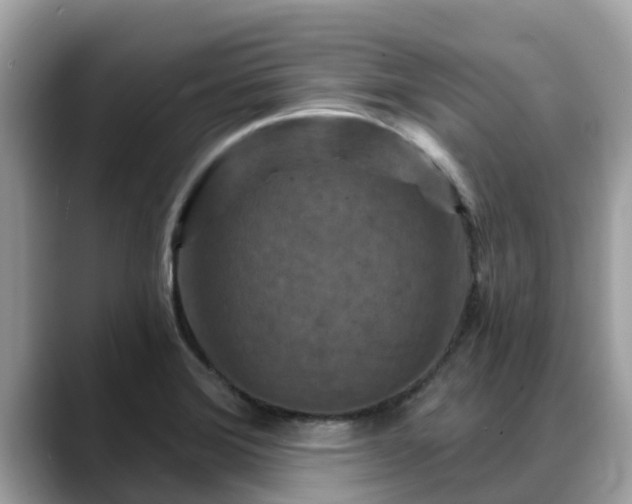 X0000088691372200706071511