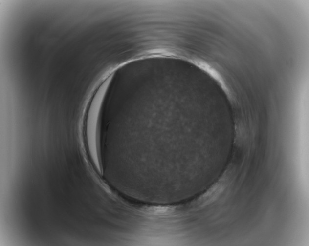 X0000088691373200706071511
