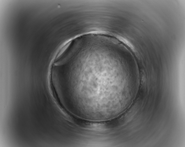 X0000088691375200706071511