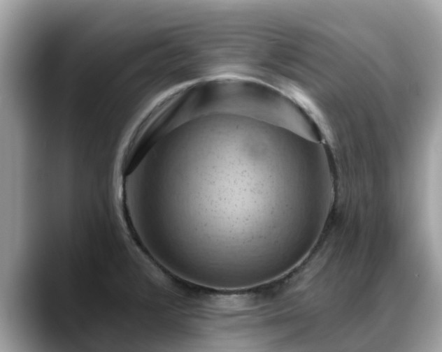 X0000088691376200706071511