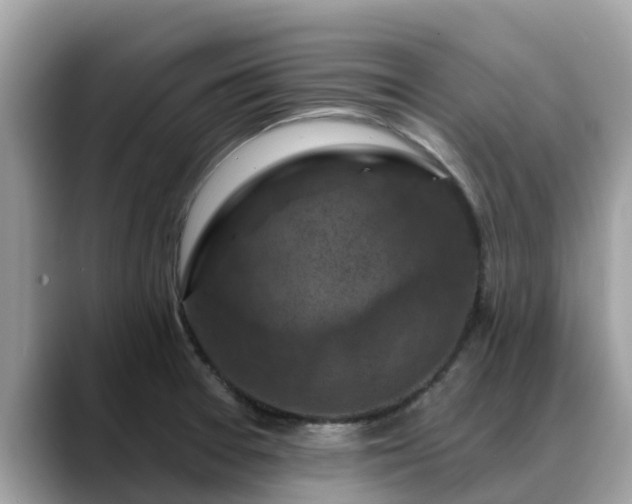 X0000088691377200706071511