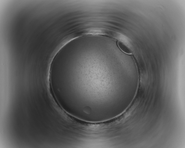 X0000088691378200706071511