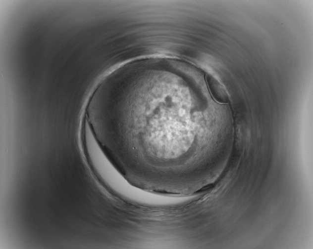 X0000088691379200706071511