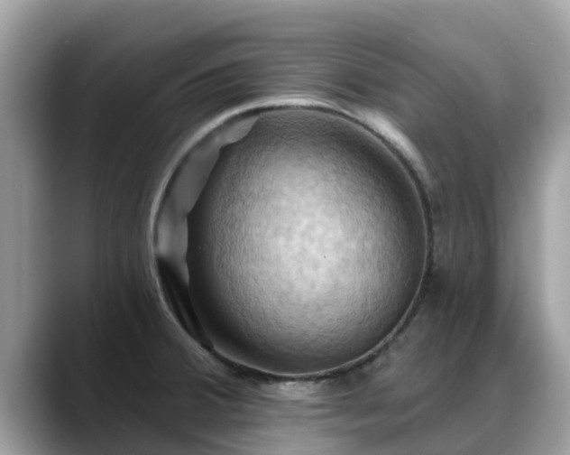 X0000088691380200706071511