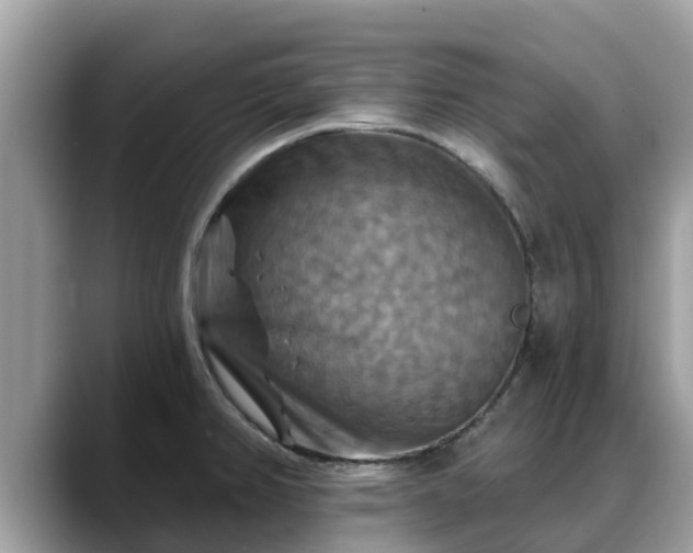 X0000088691382200706071511