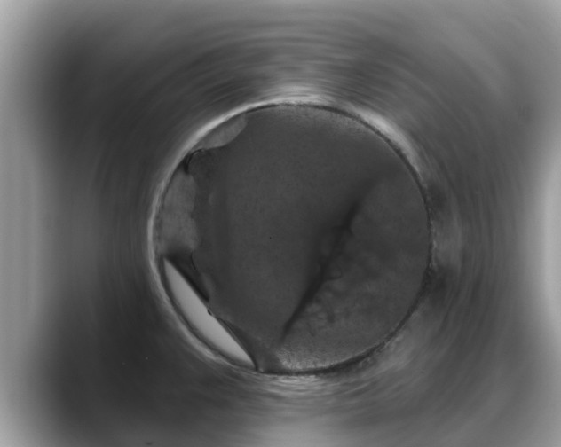 X0000088691383200706071511