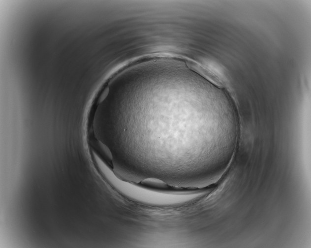 X0000088691384200706071511
