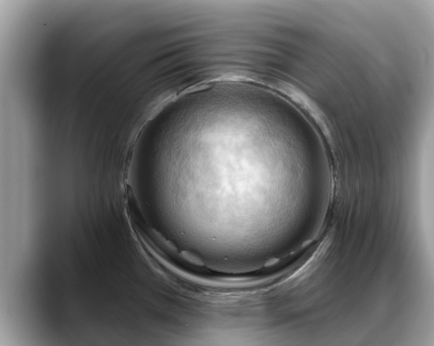 X0000088691385200706071511