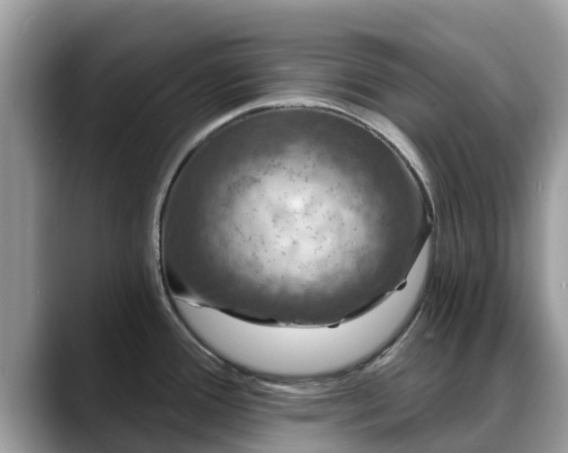 X0000088691388200706071511
