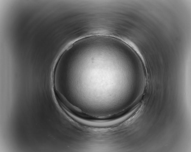 X0000088691389200706071511