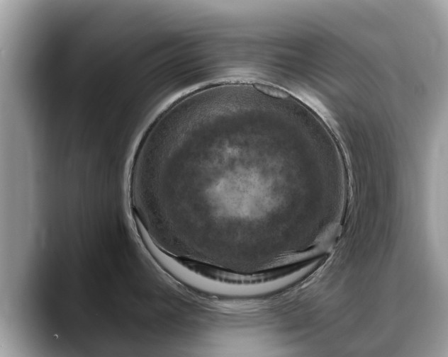 X0000088691392200706071511