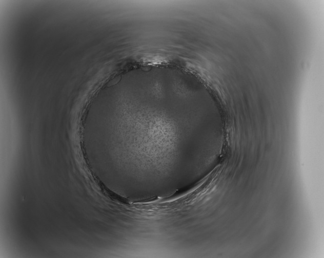 X0000088691393200706071510