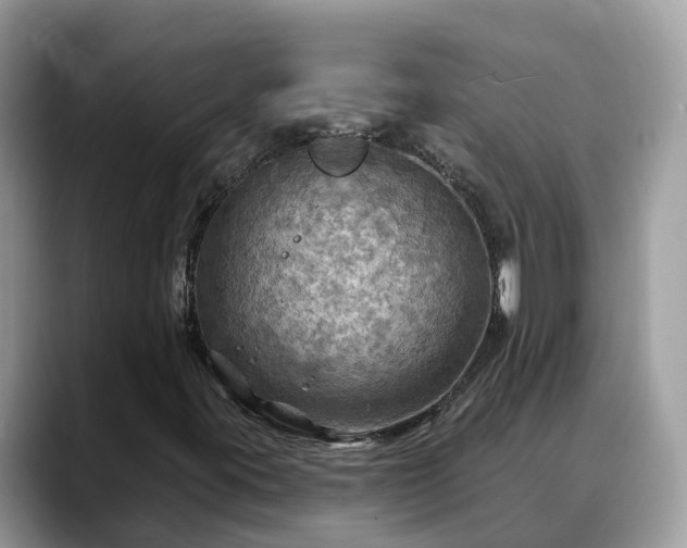 X0000088691395200706071510