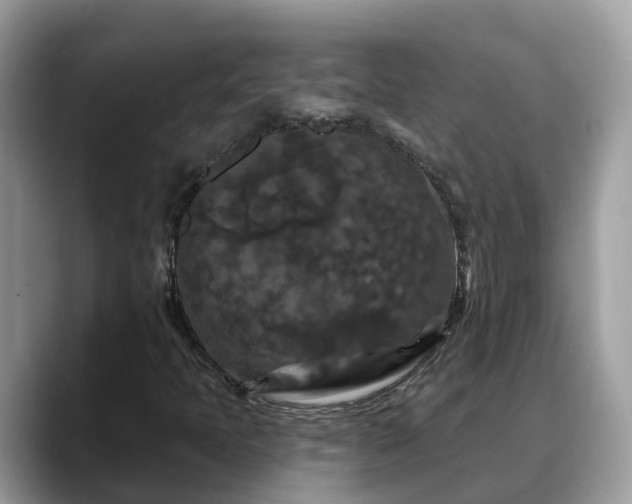 X0000088691397200706071510