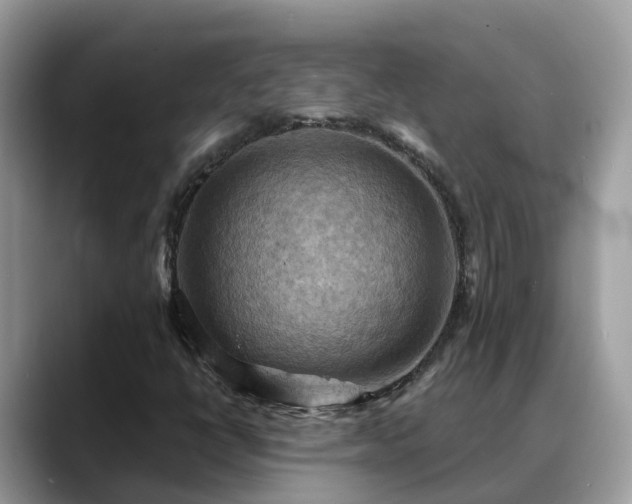 X0000088691398200706071510