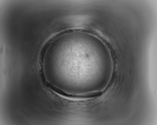 X0000088691400200706071510