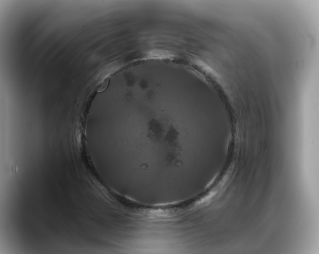 X0000088691401200706071510