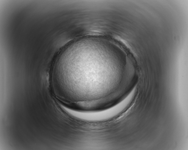 X0000088691402200706071510