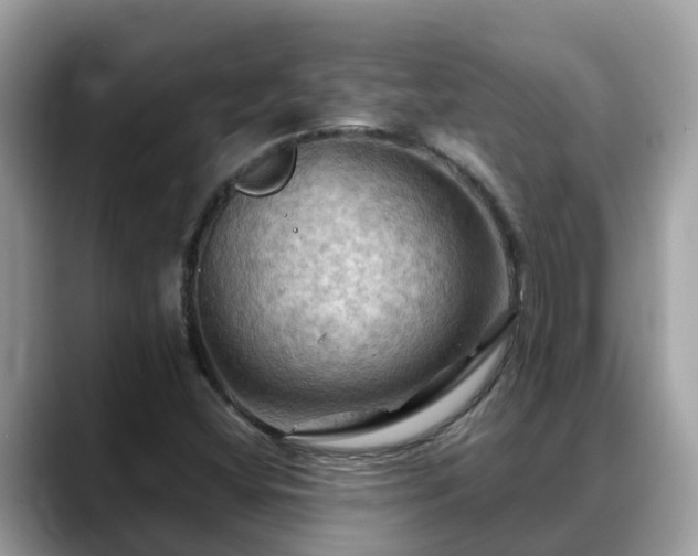 X0000088691404200706071510