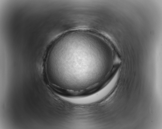 X0000088691406200706071510
