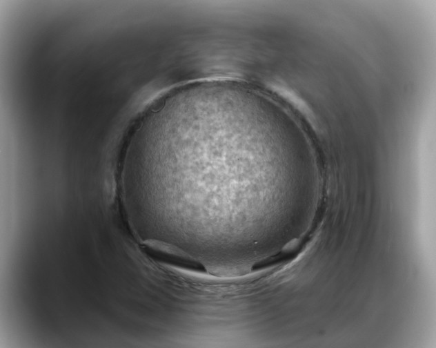 X0000088691407200706071510