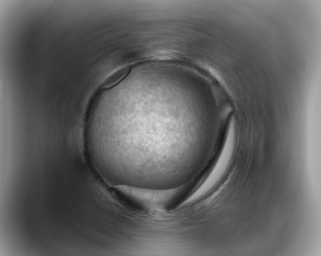 X0000088691410200706071510