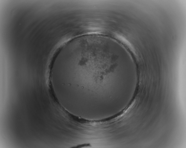 X0000088691411200706071510