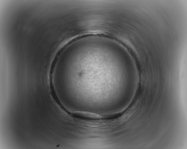 X0000088691412200706071510