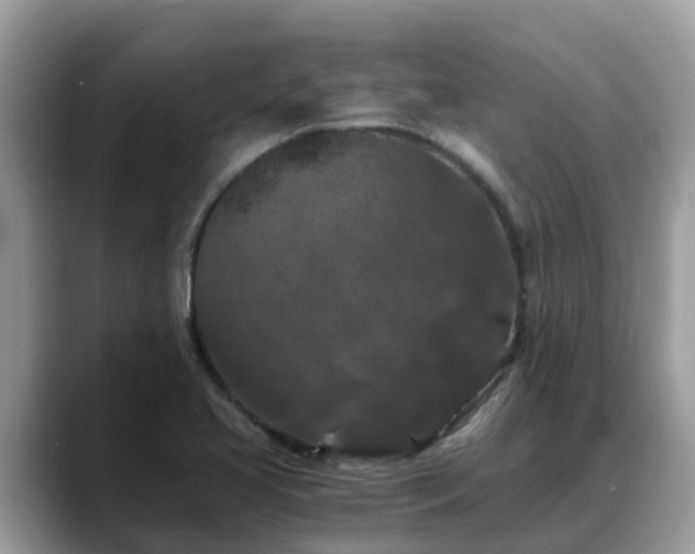 X0000088691413200706071510