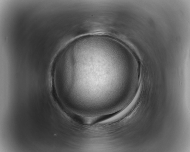 X0000088691414200706071510