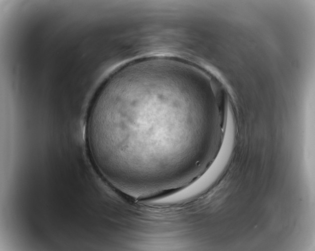 X0000088691416200706071510