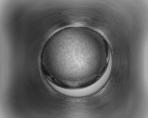 X0000088691422200706071510