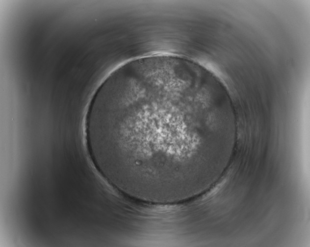 X0000088691423200706071511