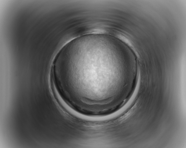 X0000088691426200706071511