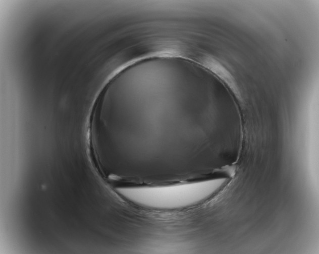 X0000088691428200706071511