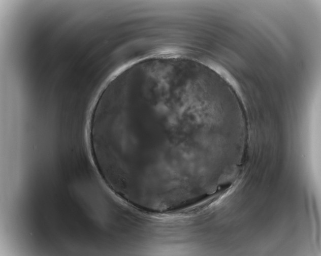 X0000088691429200706071511