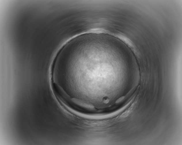 X0000088691430200706071511