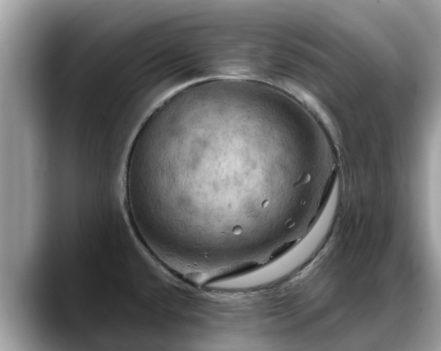 X0000088691432200706071511