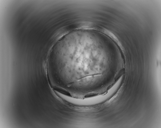 X0000088691433200706071511