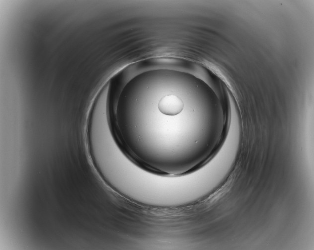 X0000088691434200706071511