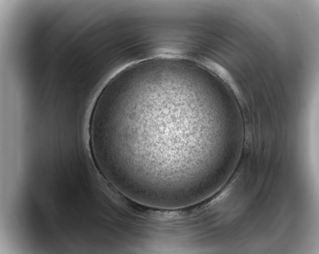 X0000088691435200706071511