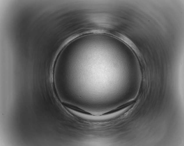 X0000088691436200706071511