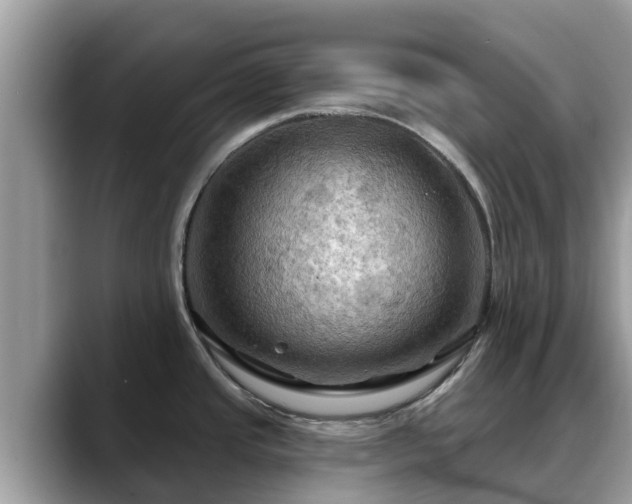 X0000088691437200706071511