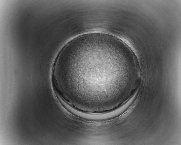 X0000088691438200706071511
