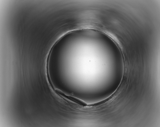 X0000088691439200706071511