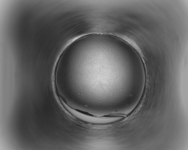 X0000088691440200706071511