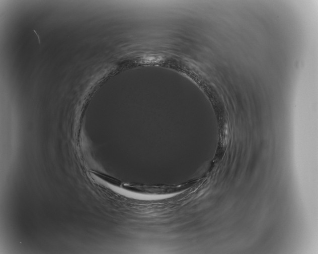 X0000088691441200706071510